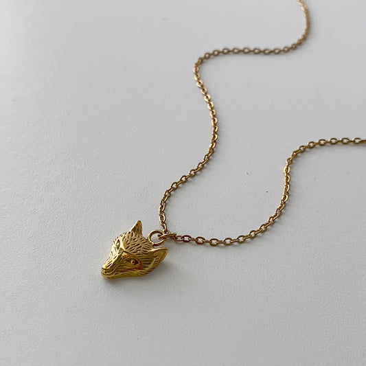 Collar dije zorro
