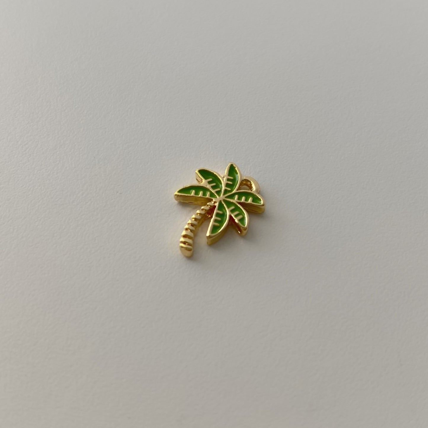 Palmera